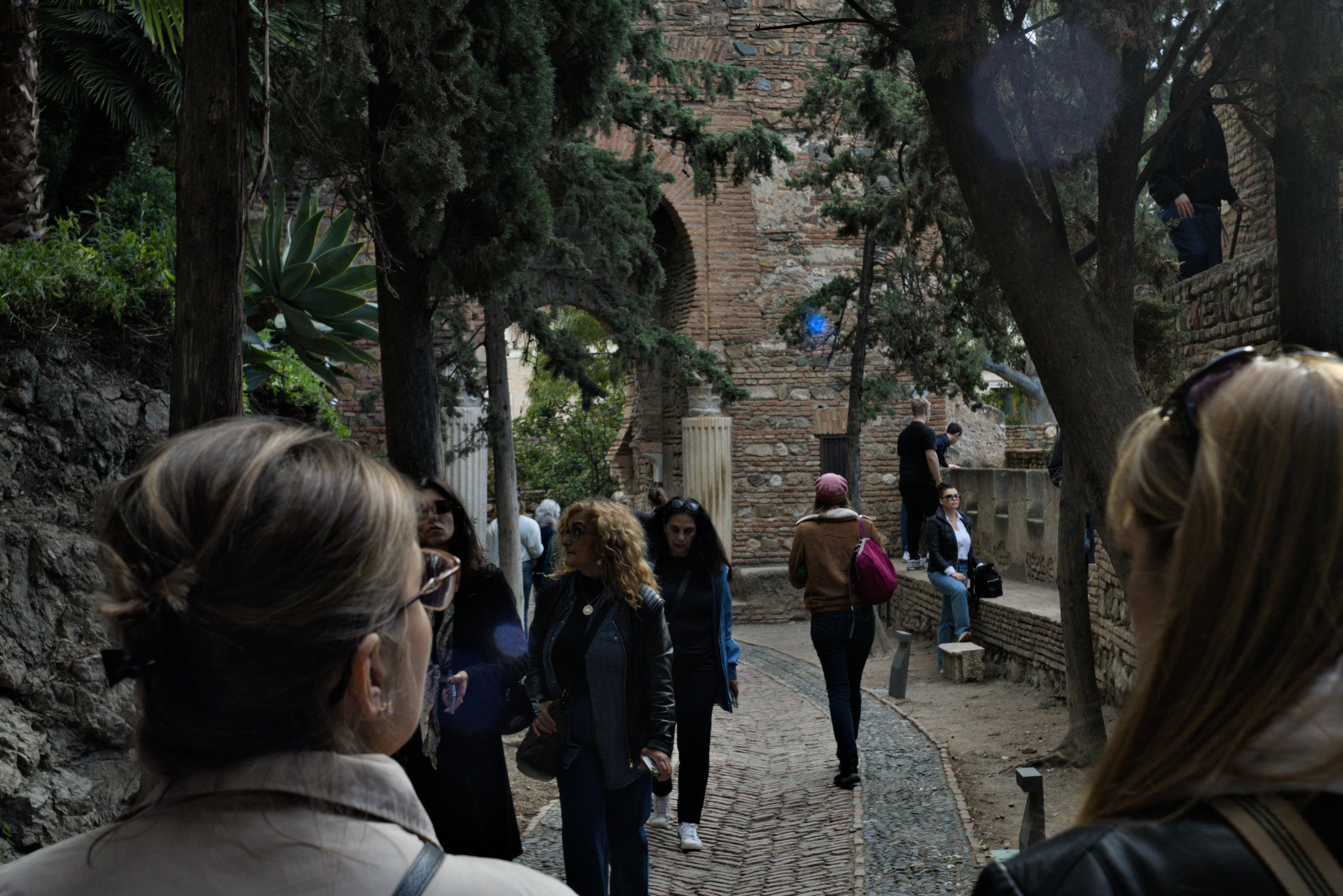 Meyer-Optik Görlitz Primagon 35mm f4.5 (M42) - _I4A7234.webp